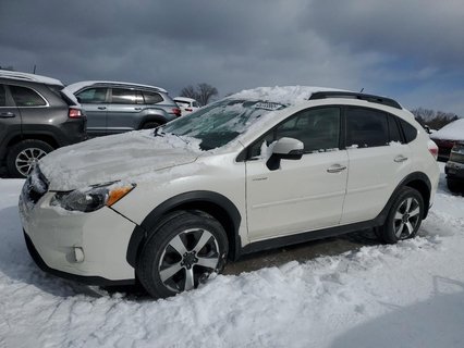XV 