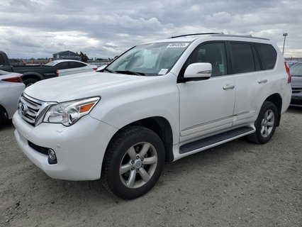 GX 