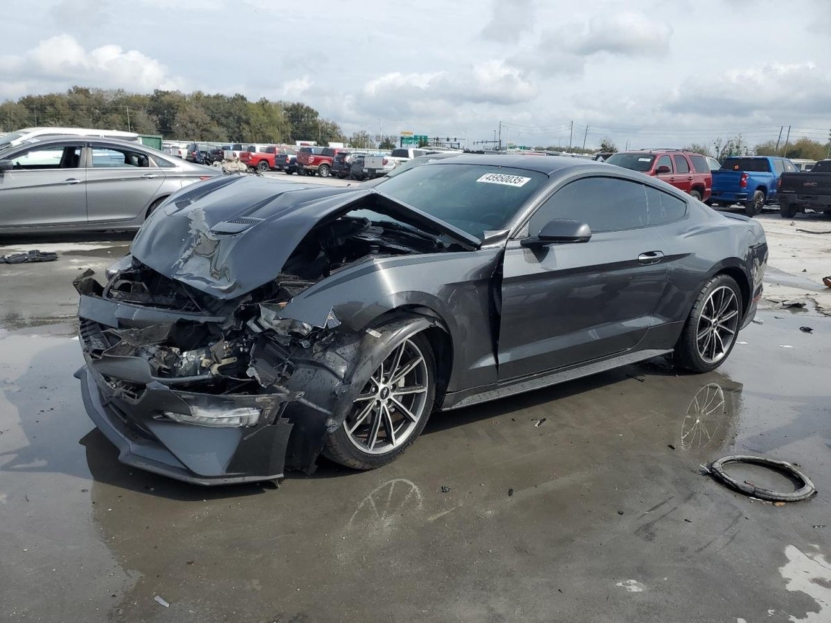 FORD ALL Models , 2019