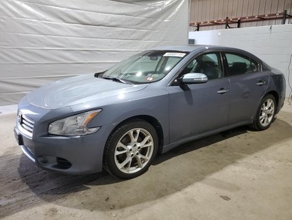 MAXIMA 