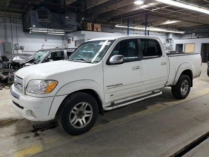 TUNDRA 