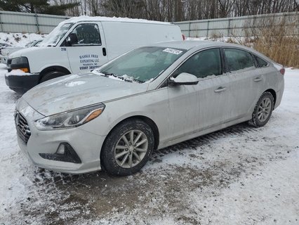 SONATA 