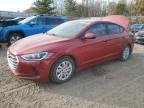 ELANTRA 