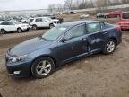 OPTIMA 