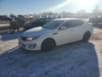 OPTIMA 