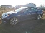 SONATA 