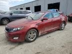 OPTIMA 
