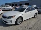 OPTIMA 