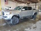 TOYOTA TACOMA , 2023