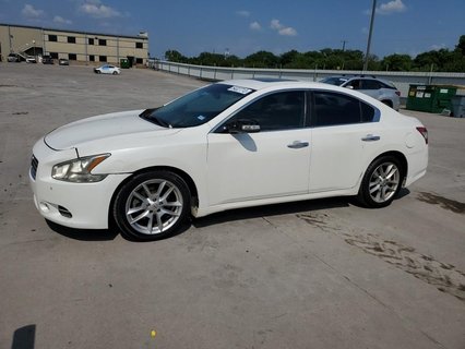 MAXIMA 