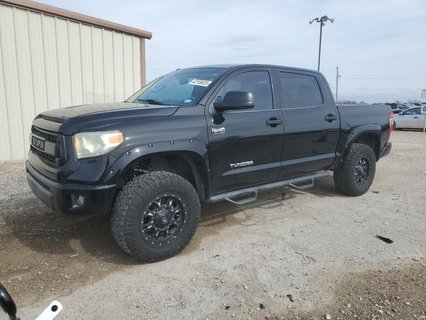 TUNDRA 