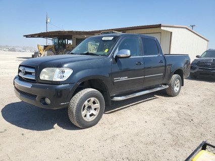 TUNDRA 