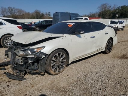MAXIMA 