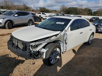 MAXIMA 