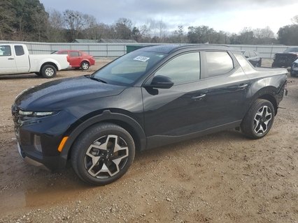 SANTA CRUZ 