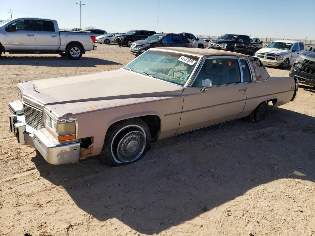CADILLAC ALL OTHER , 1981