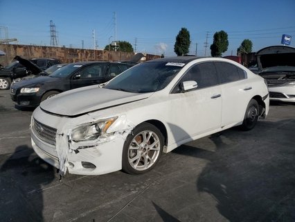 MAXIMA 