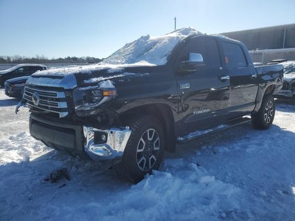 TUNDRA 