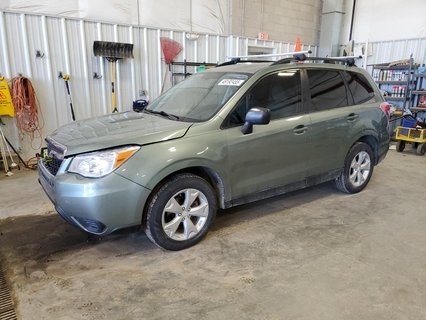 FORESTER 