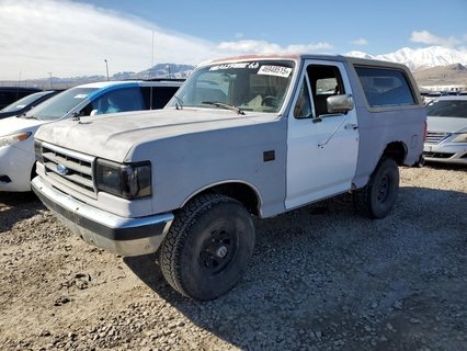 BRONCO 