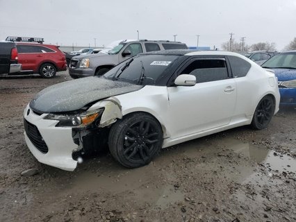 SCION 