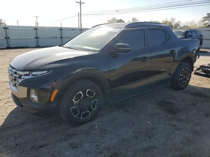 SANTA CRUZ 