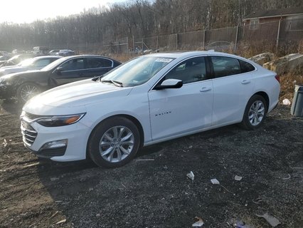 MALIBU 
