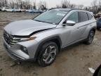 HYUNDAI TUCSON , 2024