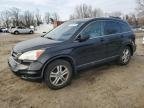 CRV 