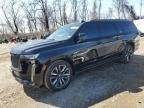 ESCALADE 