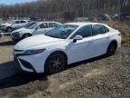 TOYOTA CAMRY , 2021