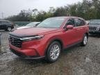 CRV 