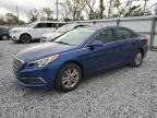 SONATA 