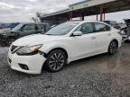 NISSAN ALTIMA , 2017