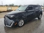 KIA SOUL , 2024