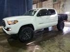 TACOMA 