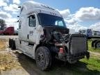 FREIGHTLINER ALL OTHER , 2019
