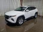 HYUNDAI TUCSON , 2024