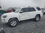 TOYOTA 4RUNNER , 2023