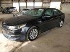 OPTIMA 