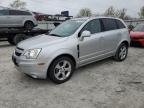 CAPTIVA 