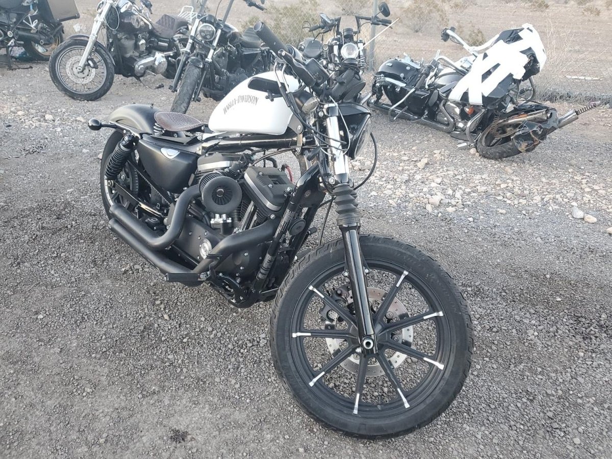 HARLEY-DAVIDSON XL883 N, 2019