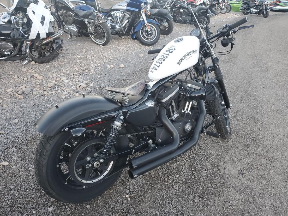 HARLEY-DAVIDSON XL883 N, 2019