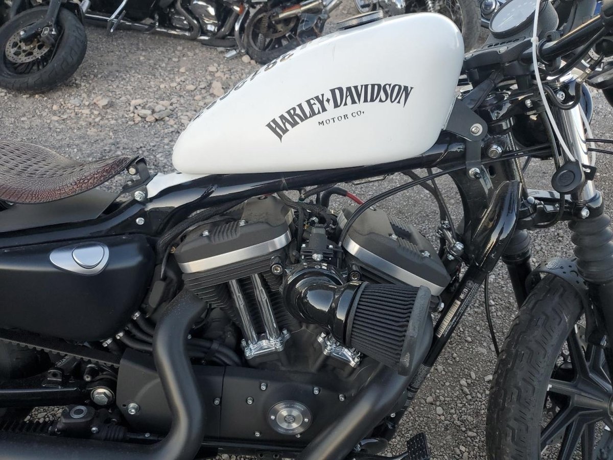 HARLEY-DAVIDSON XL883 N, 2019