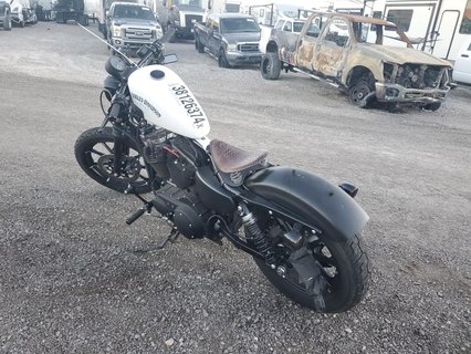 HARLEY-DAVIDSON XL883 N, 2019