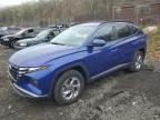 HYUNDAI TUCSON , 2023